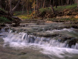 Creek and Ozarks, Montana, USA Photographic Print by Gayle Harper