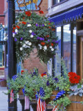 Flags and Flowers, Philipsburg, Montana, USA Photographic Print by Chuck Haney