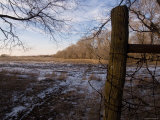 A Snowy Field at the Historic Waveland Farm Near Walton, Nebraska Photographic Print