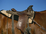 A Close View of a Saddle on a Horse Photographic Print by Taylor S. Kennedy