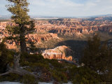 A View into the Hoodoos and Rock Formations of the Park at Sunrise, Bryce Canyon, Utah Photographic Print by Taylor S. Kennedy