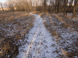 A Snowy Path at Historic Waveland Farm in Walton, Nebraska Photographic Print