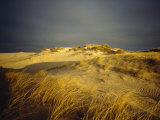 Sand Dunes and Beach Grass, Nauset Beach, Cape Cod National Seashore, Massachusetts Lámina fotográfica Sand Dunes and Beach Grass, Nauset Beach, Cape Cod National Seashore, Massachusetts Lámina fotográfica