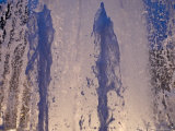 Late Evening at the Amalie Garden in the Center of Copenhagen, Denmark Photographic Print