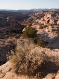 A View into on of the Canyons in the Grand Staircase National Monument, Utah Photographic Print by Taylor S. Kennedy