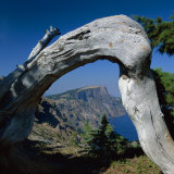 Crater Lake National Park, Oregon, USA Photographic Print by Jerry Ginsberg