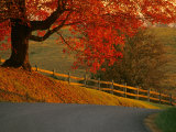 Country Lane, Faquier County, Virginia, USA Fotografisk tryk af Kenneth Garrett