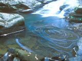 Savage Gulf, South Cumberland State Park, Tennessee, USA Photographic Print by Rob Tilley