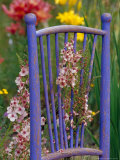 Mixed Flowers and Old Chair, Seattle, Washington, USA Lámina fotográfica por Terry Eggers Mixed Flowers and Old Chair, Seattle, Washington, USA Lámina fotográfica por Terry Eggers