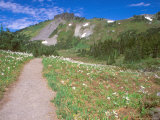 Spray Park Trail, Mt. Rainier National Park, Washington, USA Lámina fotográfica por Rob Tilley