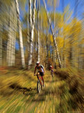 Mountain Bike Race, Methow Valley, Washington State, USA Photographic Print by David Barnes