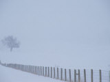 Fauquier County, Virginia, USA Photographie par Kenneth Garrett
