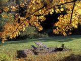 Fall Foliage on Cohos Trail, Zealand Campground, Twin Mountain, New Hampshire, USA Photographic Print by Jerry & Marcy Monkman