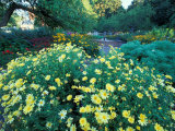 Prescott Park Garden, New Hampshire, USA Photographic Print by Jerry & Marcy Monkman