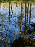 Autumn Reflections in Creek, Great Smoky Mountains National Park, North Carolina, USA Photographic Print by Jerry Ginsberg