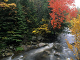 Moving Stream And Fall Colors, Groton, Vermont, USA Photographie par Bill Bachmann