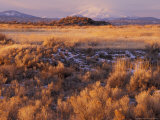 Mount Shasta from Tule Lakes, Kalamath Falls National Wildlife Reserve, Oregon, USA Lámina fotográfica por William Sutton Mount Shasta from Tule Lakes, Kalamath Falls National Wildlife Reserve, Oregon, USA Lámina fotográfica por William Sutton