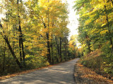 Tranquil Road with Fall Colors, Vermont, USA Photographie par Bill Bachmann
