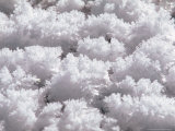 Ice Crystals, Oxbow Bend, Grand Teton National Park, Wyoming, USA Lámina fotográfica por Dee Ann Pederson Ice Crystals, Oxbow Bend, Grand Teton National Park, Wyoming, USA Lámina fotográfica por Dee Ann Pederson