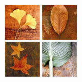 Leaves Arrangement Four Patch Posters Leaves Arrangement Four Patch Posters