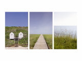 Beach Path Triptych Prints