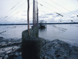 Seaside Industry - Yellowknife Lámina fotográfica