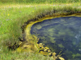 Geyser Pool, Yellowstone National Park, Wyoming, USA Photographic Print by William Sutton