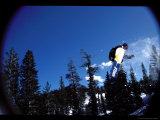 Air Photographic Print