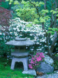Japanese Garden, Seattle Arboretum, Seattle, Washington, USA Lámina fotográfica por Rob Tilley
