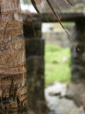 Doorway Photographic Print