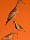Shore Bird Decoys, USA Photographic Print by Gavriel Jecan