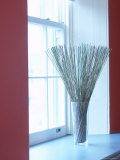 Fresh Wheat in Glass Vase by Window Photographie