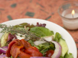 Tasty Grilled Vegetable Salad with Herb Spring Garnish Photographic Print