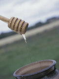 Honey Dripping from Wooden Spoon Lámina fotográfica