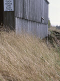 Prairie Grass and Old Barn Photographie