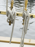 Rope Knotted to a Wood Shelf - Fotografik Baskı