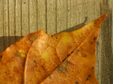 Textured Background Lámina fotográfica Textured Background Lámina fotográfica