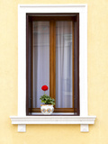 Red Geranium on White Wooden Windowsill Lámina fotográfica Red Geranium on White Wooden Windowsill Lámina fotográfica