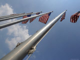 American Flags on Poles Lámina fotográfica