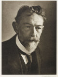 Richard Adolf Zsigmondy German Chemist Lámina fotográfica