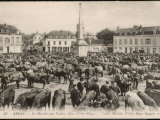 The Cattle Market in the Place Victor Hugo Arras Northern France Photographic Print