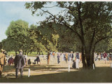 The 500 Metre Race is Run in the Bois de Boulogne Between Trees and Spectators! Photographic Print