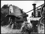 Men Threshing Wheat Photographie
