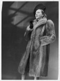 Three-Quarter Length Silver Fox Fur Coat with Roll Collar and Deep Side Pockets Photographie