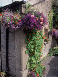 Kilkenny Design Ctr, Craft Shed, Ire Photographic Print by Mark Polott