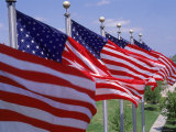 US Flags at Louisiana Mem Plaza, Baton Rouge Photographie par Jim Schwabel