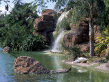Bird Lagoon, Metrozoo, Miami, FL Photographic Print by Mark Gibson