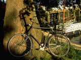 Bicycle And Tree, Hoorn, North Holland Lámina fotográfica por Walter Bibikow Bicycle And Tree, Hoorn, North Holland Lámina fotográfica por Walter Bibikow