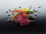Colorful Fly-Fishing Lures Photographic Print by Rick Kooker