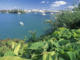 Hamilton Harbor with Greenery Photographie par Robin Hill